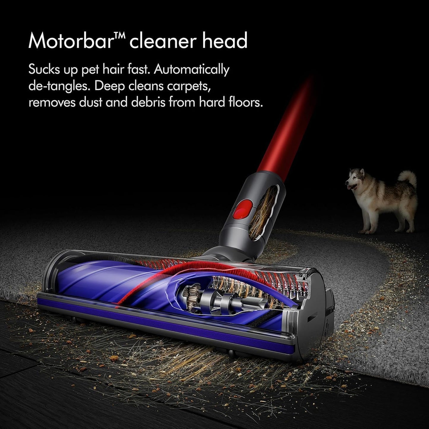 Dyson Cyclone V10 Absolute Cordless Vacuum Cleaner | 2 year Dyson warranty | 394433-01 - UAE Version