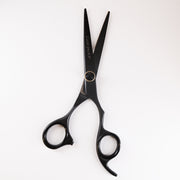 Lizze Pro 6.5-inch black and gold professional hairdressing scissors for precision cutting.