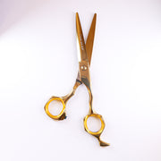 Lizze Pro 6.5-inch black and gold professional hairdressing scissors for precision haircuts.
