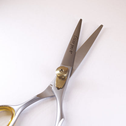 Lizze Pro 6-inch hairdressing scissors for precision cutting and professional hairstyling.