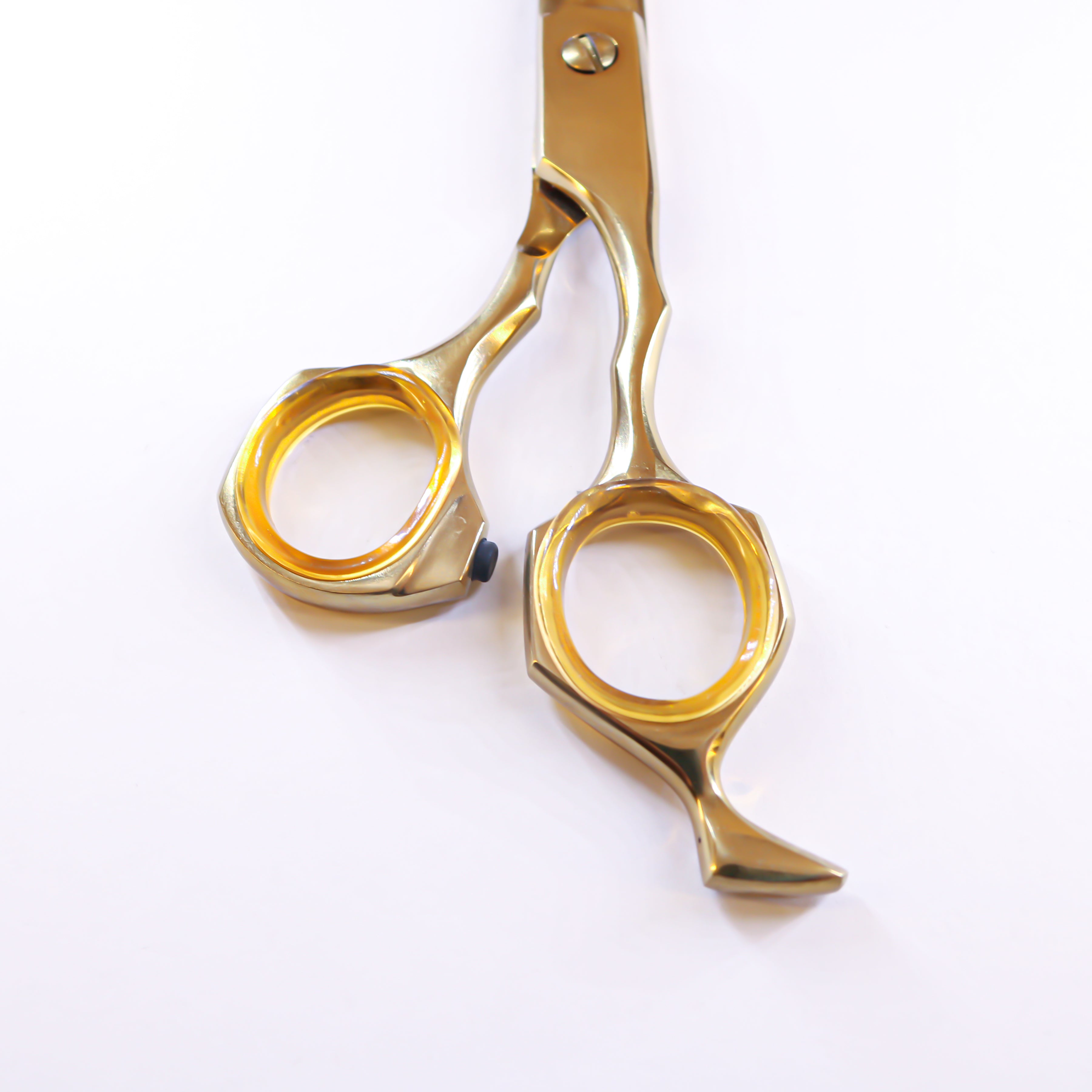 Lizze Pro 6.5-inch black and gold professional hairdressing scissors for precision haircuts.