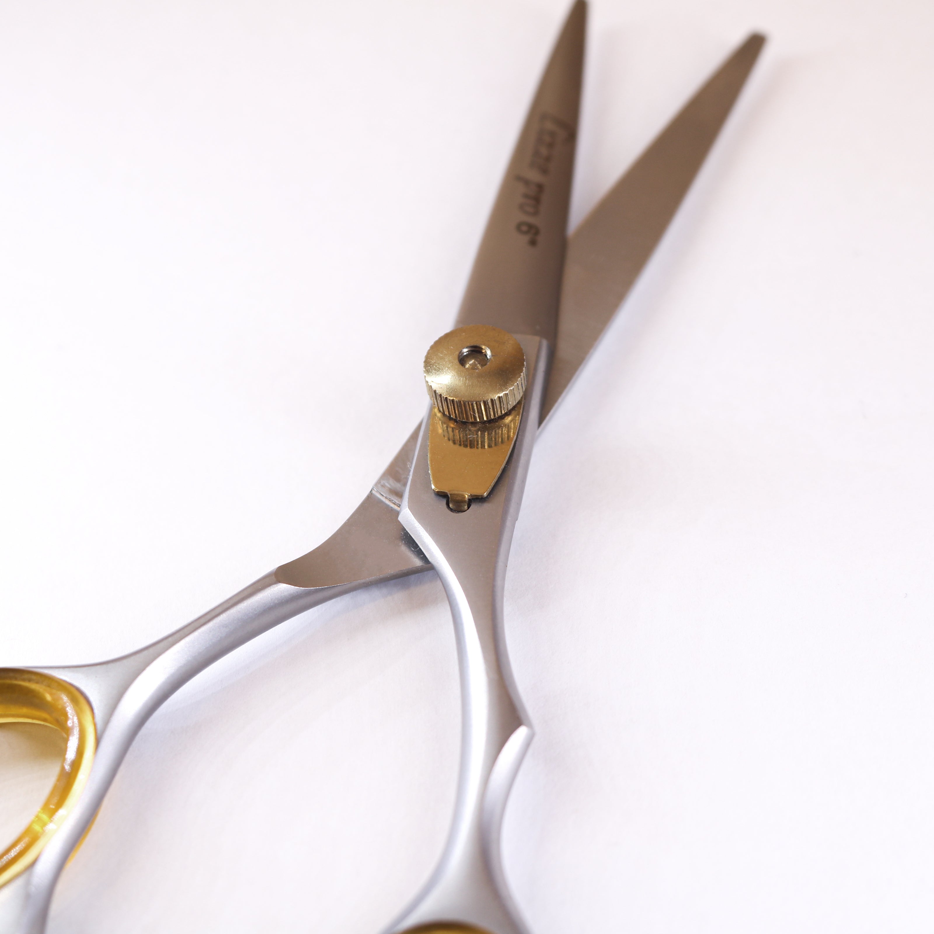 Lizze Pro 6-inch hairdressing scissors for precision cutting and professional hairstyling.