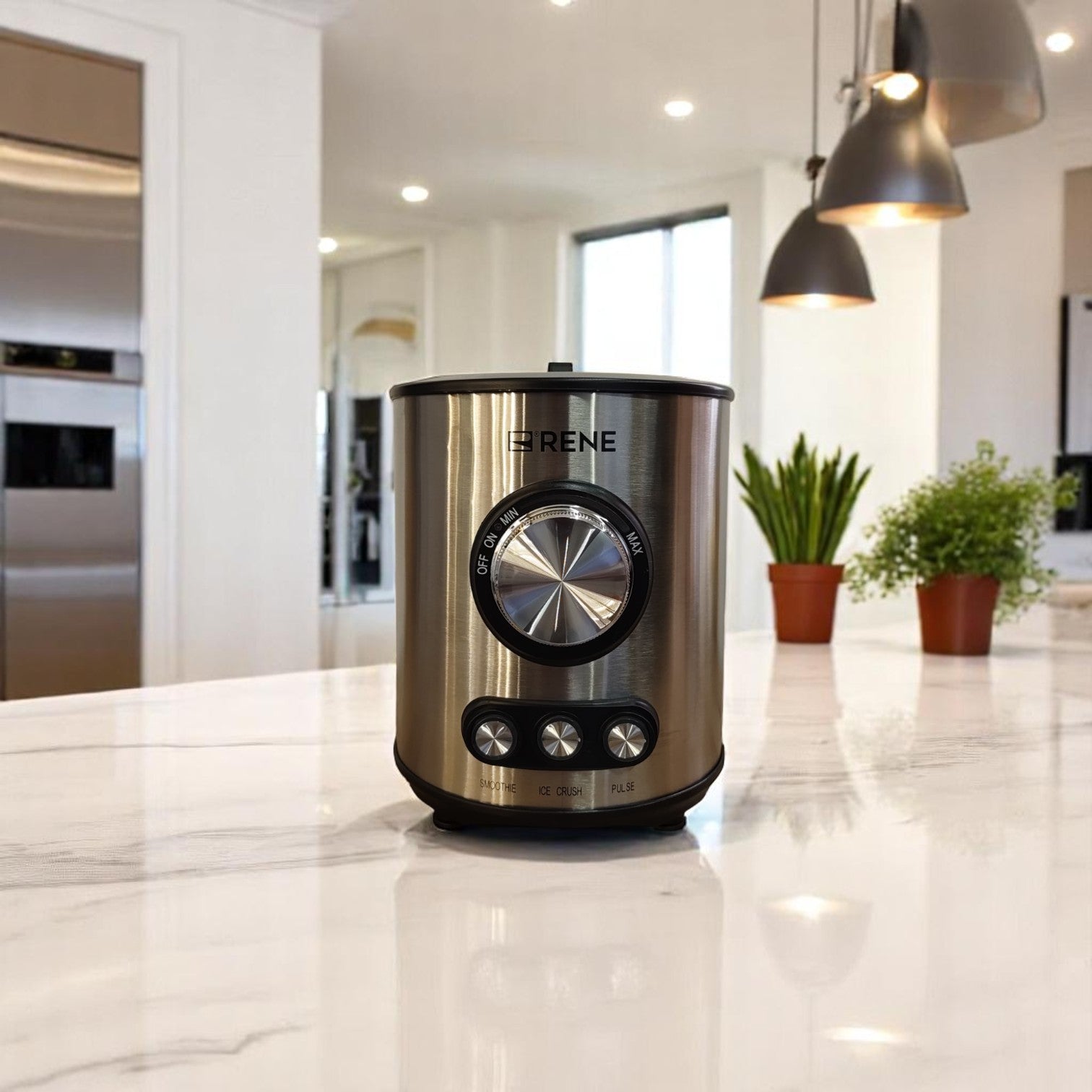 RENE Professional 3-in-1 Blender RBCG-1701 – 800W Blender with 1.5L Glass Jar