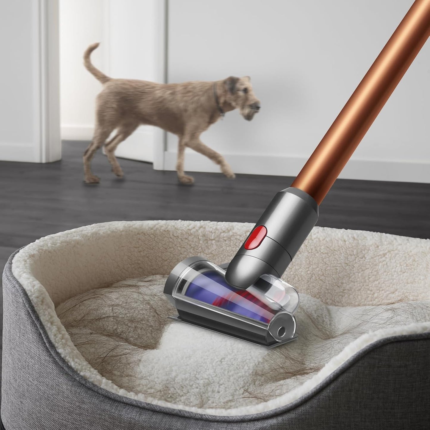 Dyson Cyclone V10 Absolute Cordless Vacuum Cleaner | 2 year Dyson warranty | 394433-01 - UAE Version