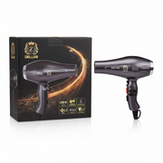 Deluxe 2500W Professional Hair Dryer – Ultra Powerful AC Motor