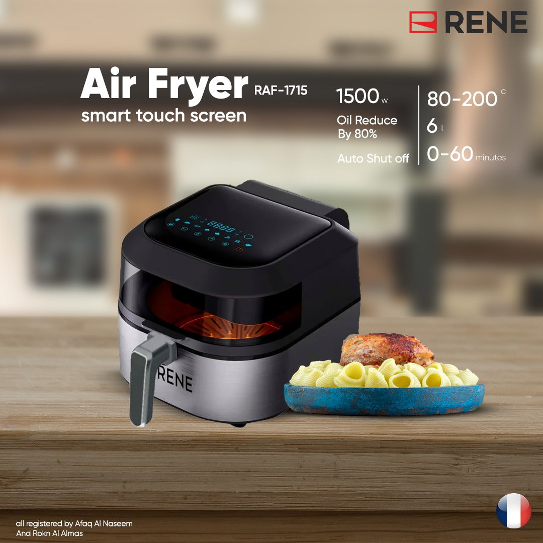 6L stainless steel Rene air fryer and indoor grill