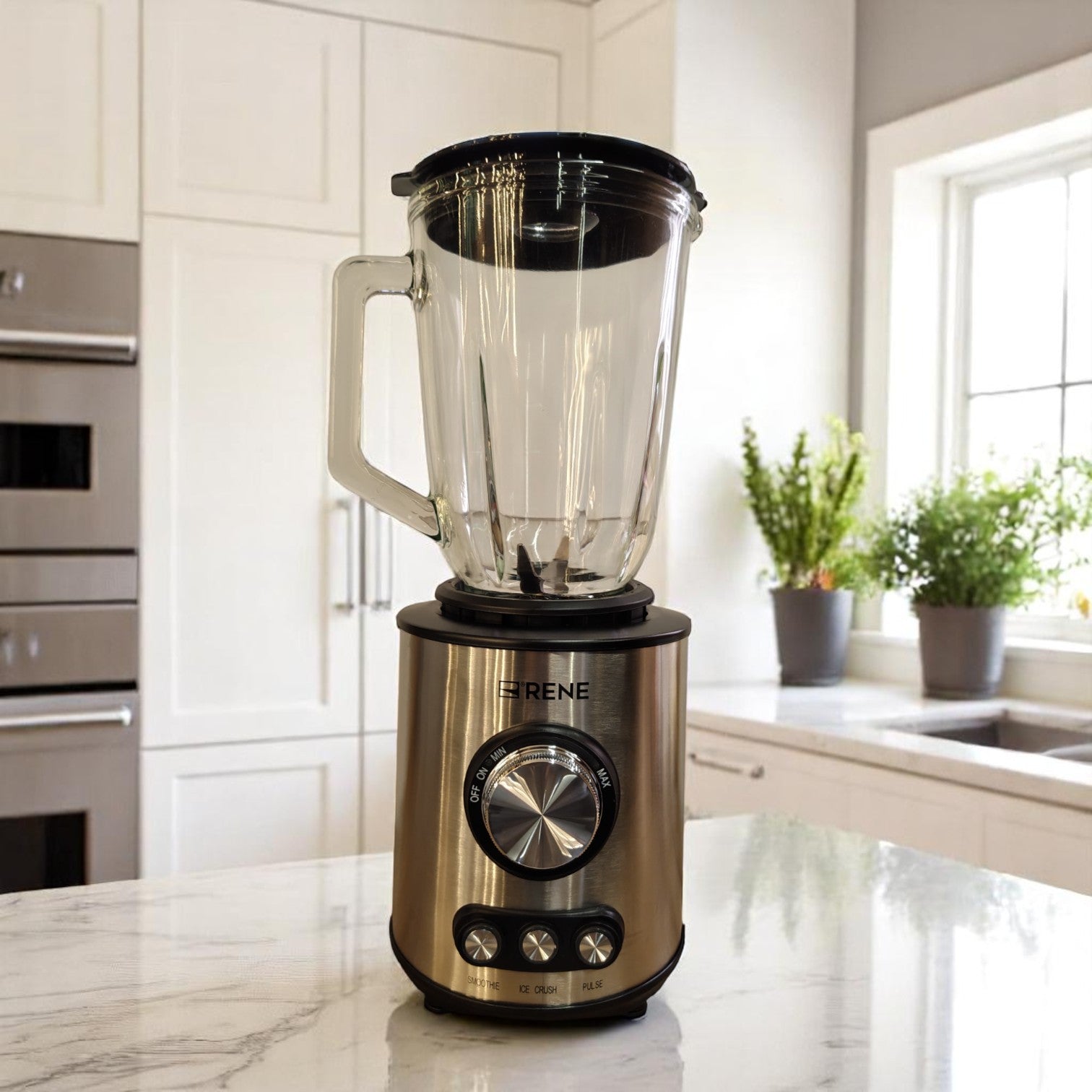 RENE Professional 3-in-1 Blender RBCG-1701 – 800W Blender with 1.5L Glass Jar