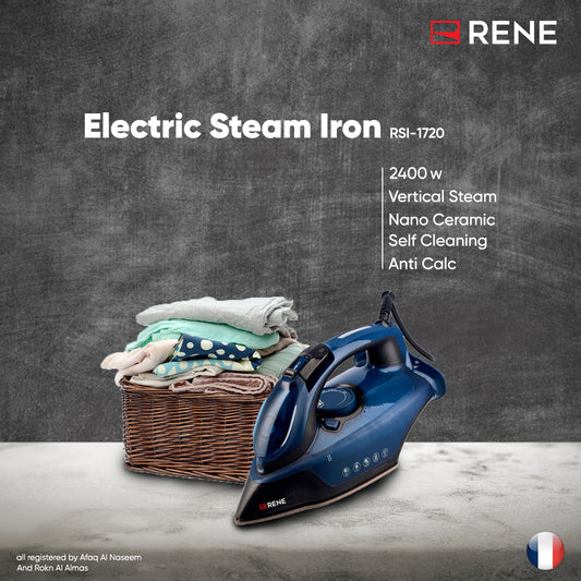 Rene RSI-1720 high power 3100W steam iron