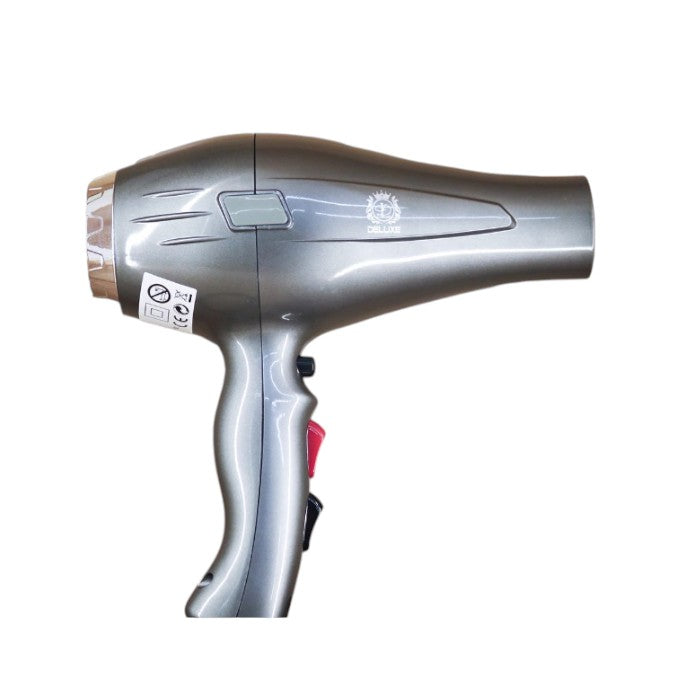 Deluxe 2500W Professional Hair Dryer Powerful and Lightweight Blow Dryer for Salon and Home Use Fast Drying and Frizz Control